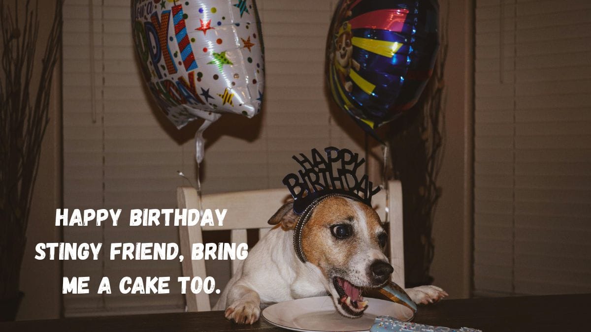 Simple Happy Birthday Wishes