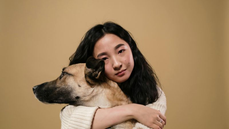 happy birthday from the dog happy birthday to a dog funny happy birthday dog happy birthday with dog