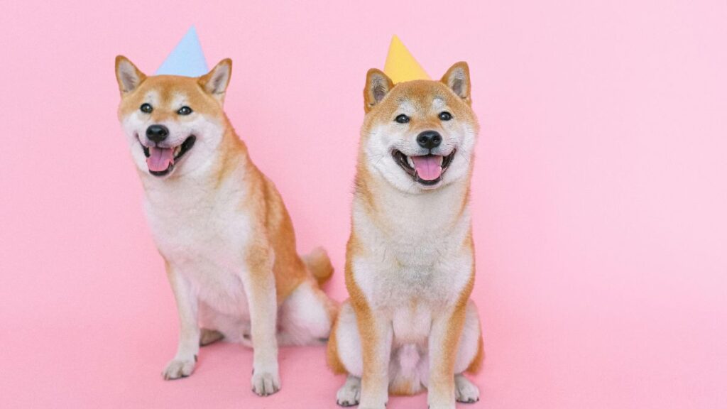 happy birthday meme text happy birthday text message meme birthday wishes friend text happy birthday to text gifts